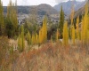 Faldeo, Arriba Bº Ceferino, Esquel, Chubut, 2 Habitaciones Habitaciones, ,3 BathroomsBathrooms,Parcela,En venta,Faldeo, Arriba Bº Ceferino,1000
