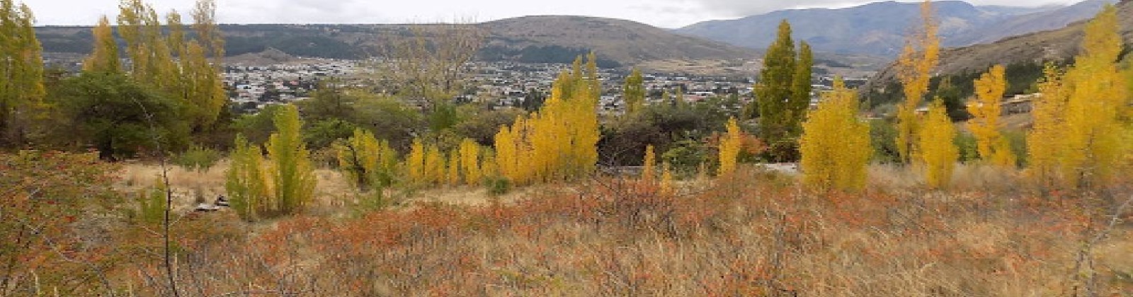 Faldeo, Arriba Bº Ceferino, Esquel, Chubut, 2 Habitaciones Habitaciones, ,3 BathroomsBathrooms,Parcela,En venta,Faldeo, Arriba Bº Ceferino,1000